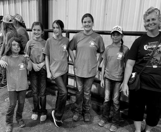 Creek County Fair