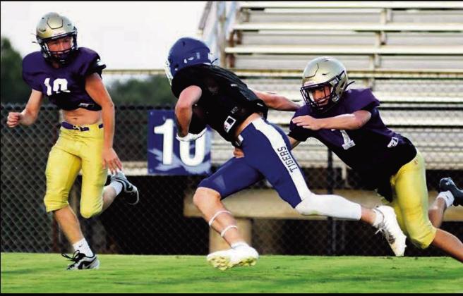 Pirate Scrimmage