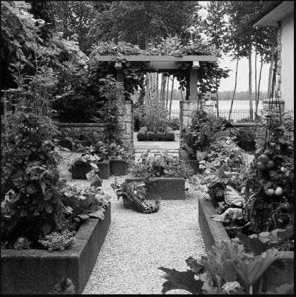 25 Gardening Tips Every Gardener Should Know