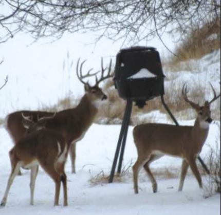 Winter hits the community with sub zero temperatures