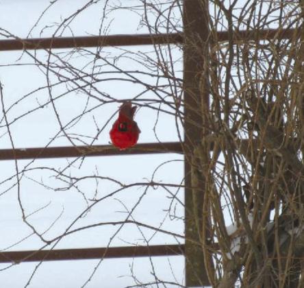 Winter hits the community with sub zero temperatures