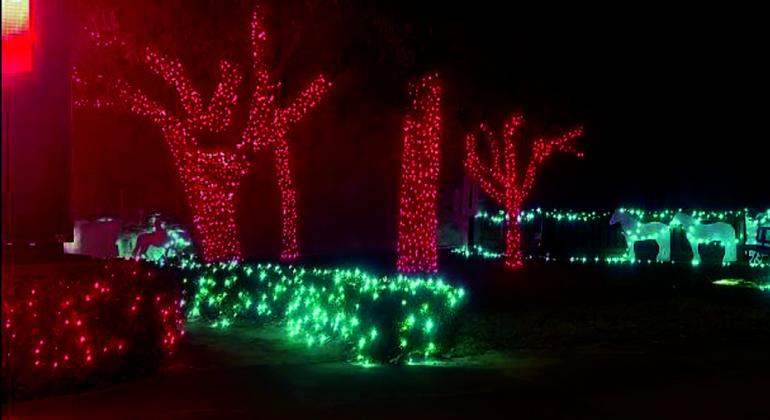 Bristow at Christmas