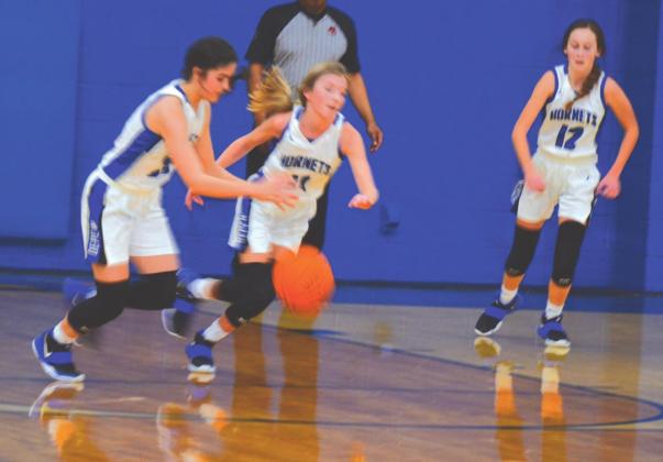 Lady Hornets vs Stroud Tigers