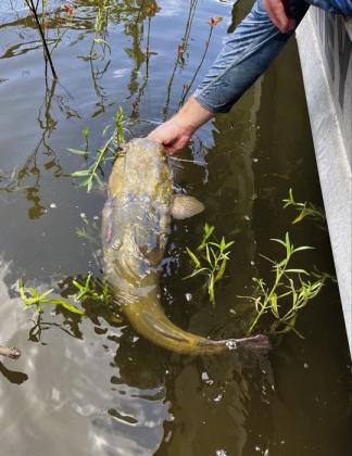 Earn money while fishing
