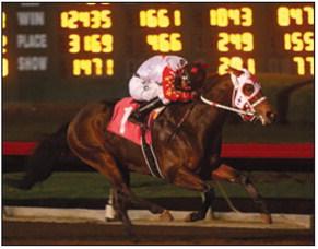 BP Cartel Policy takes win of 400 yard dash