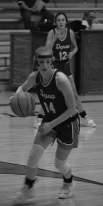 Lady Hornets win Davenport Tournament