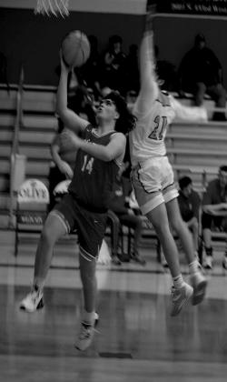 Lady Hornets win Davenport Tournament