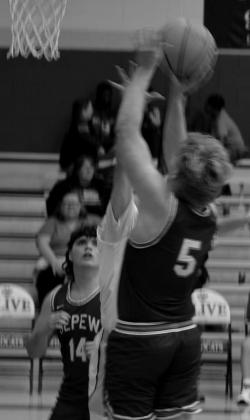 Lady Hornets win Davenport Tournament