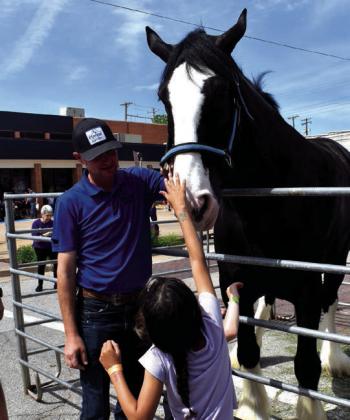 Horse admirers looked at and petted the Express Clydesdale horses at 2025's Tabouleh Fest.