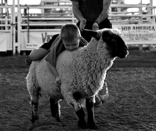 Western Heritage Days Rodeo and Festival