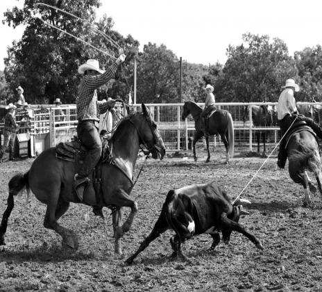 Western Heritage Days