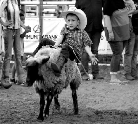 Western Heritage Days