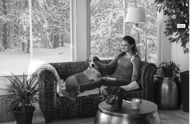 Winter is here: Four fast fixes that make older homes warmer and cost efficient