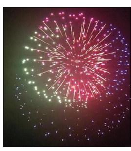 Independence Day Celebrations “Best Ever”