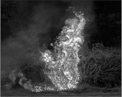 Pirate Homecoming Bonfire