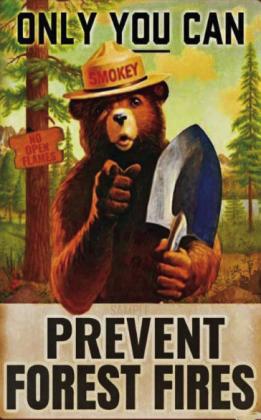 Smokey Bear turns 79