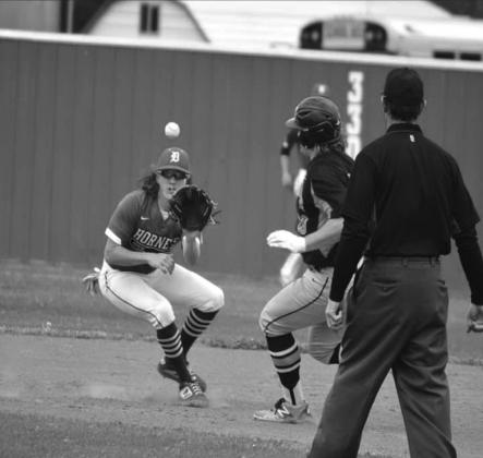 Hornets vs Davenport