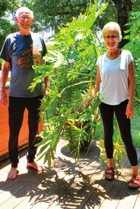 Bob and Kris Wyatt with their philodendron courtesy photo