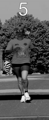 Wildflower Run