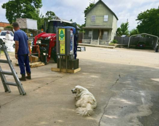 Charlie, the Depew community dog, is still roaming the streets, collecting his hand-outs and overseeing the progress of work being performed at the carwash that is being remodeled. courtesy photo