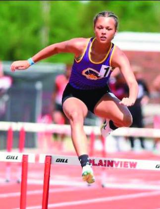 Eden Bigpond, hurdles.