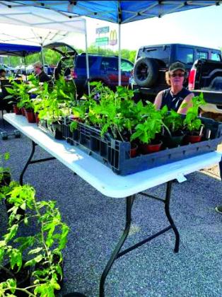 Bristow Artisans and Gardeners Market