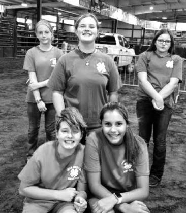 Bristow 4-H Winners