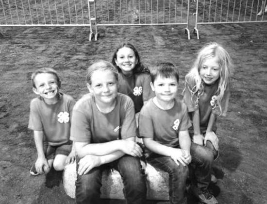 Bristow 4-H Winners