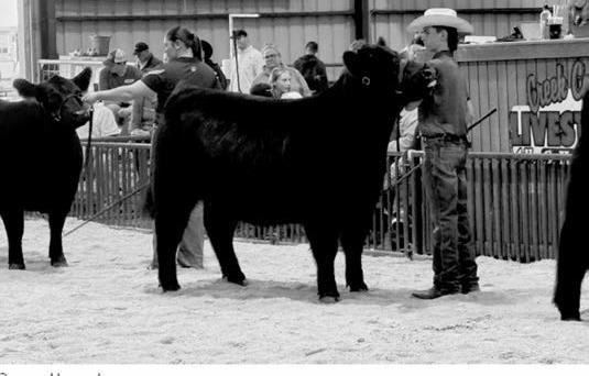 Creek County Spring Livestock Show