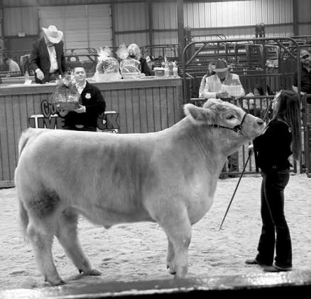 Creek County Spring Livestock Show