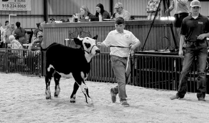 Creek County Spring Livestock Show