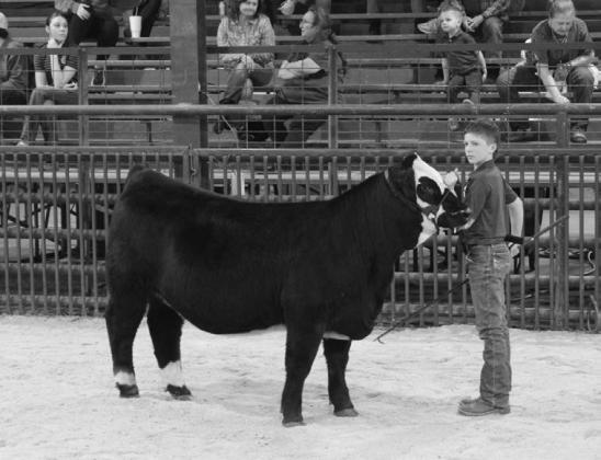 Creek County Spring Livestock Show