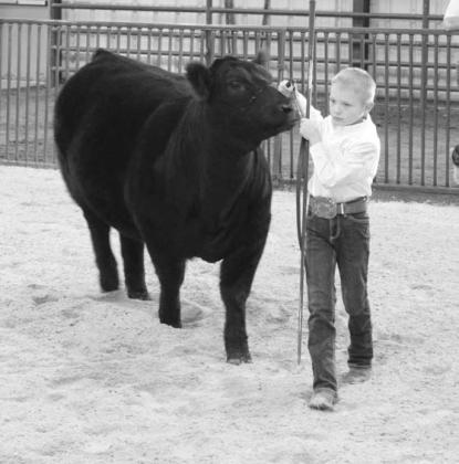 Creek County Spring Livestock Show