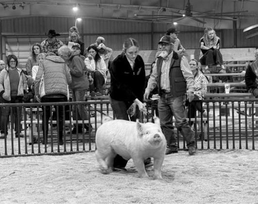 Creek County Spring Livestock Show