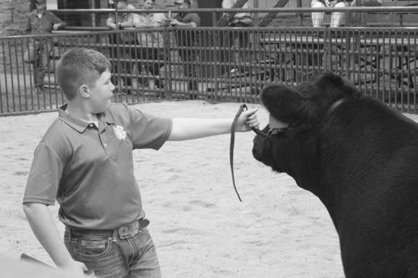 Creek County Spring Livestock Show