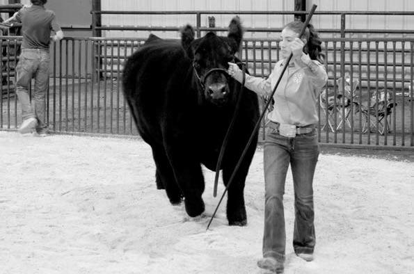 Creek County Spring Livestock Show