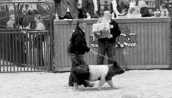 Creek County Spring Livestock Show