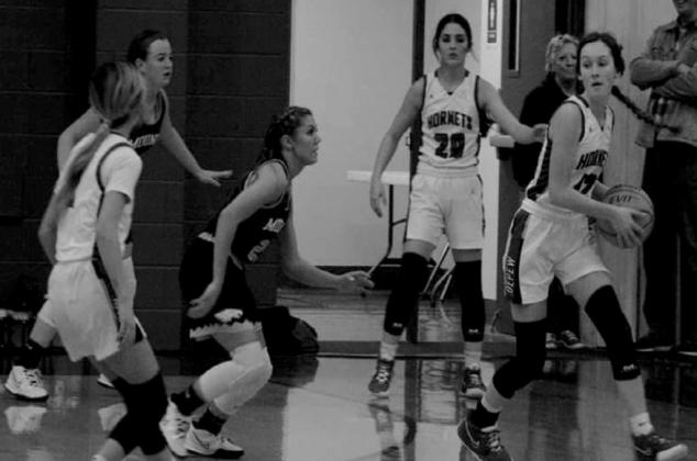 Hornets vs Mounds