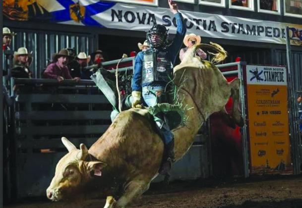 BHS alumnus finds success as bull rider