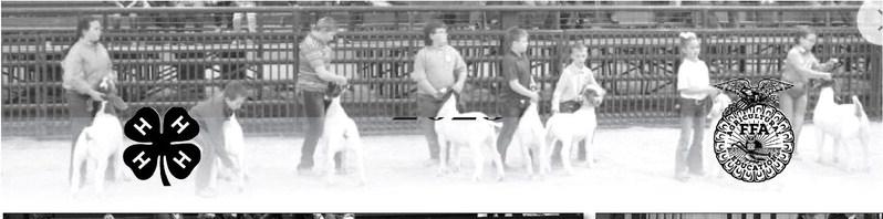Creek County Livestock Show 2023