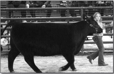 Creek County Livestock Show 2023