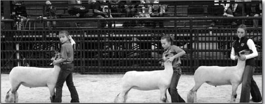 Creek County Livestock Show 2023