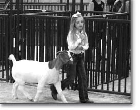 Creek County Livestock Show 2023