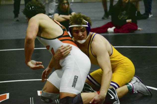 Purple Pirate State Qualifiers