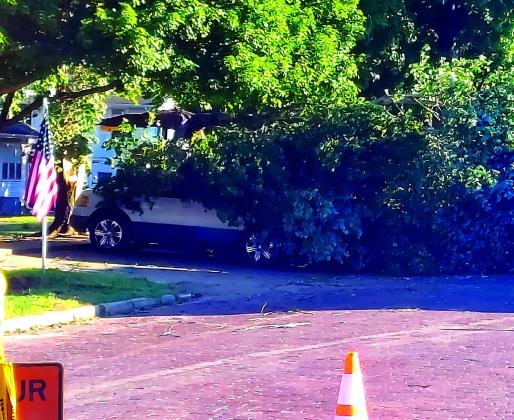 A tree, stapped into, sits on top this car at the corner of 7th and Elm. Angie Gentry photo