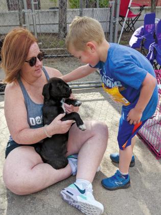 Finding forever homes