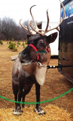 Is Santa coming