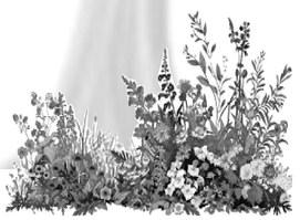 Home and Garden: