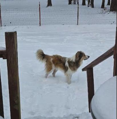 photo courtesy of Brenda Beckman