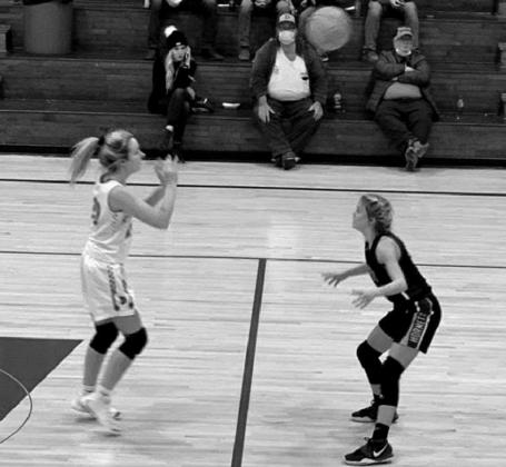 Depew Hornets and Lady Hornets play ball
